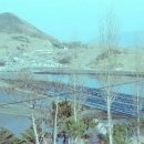 김시식지 이미지