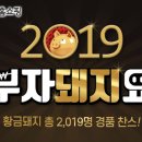 부자돼지 이미지