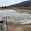 매지밀 딸기농장 이미지