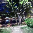 동하 돈가스 | 그대여 찬란하게 피어나 새파란 바람을 타고 날아