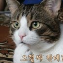 (일 억 청년)나의 신용카드 사용법~ 이미지