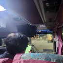 카프랜드 | 제주렌트카 레인보우모빌리티 후기 (제주프랜드)