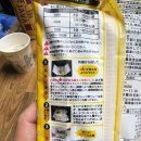 장안카정비 | [공지] 삿포로 조잔케이 호헤이쿄 온천 버스투어 엔데이트립 당일치기 여행 후기