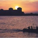 고리메디칼 이미지