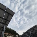 칠갑산자연휴양림 이미지