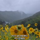 실로 이미지