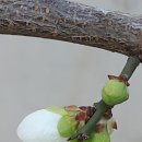 동래고등학교 옆 이미지