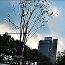 수성구립 범어도서관 이미지