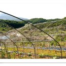 고래산농장 이미지