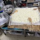 막걸리학교