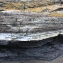 공룡 발자국화석지 이미지