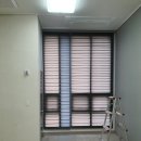 햇살좋은창 이미지