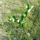 재실농장 이미지