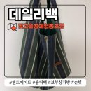 빛고을공예협동조합 데일리백 수납력 좋은 스트라이프 숄더백 후기