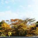 제주마실게스트하우스