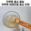 카무트 효소 효능 닥터아디