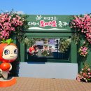 지하철체육공원역 | 2026 부산 가볼만한곳 대저토마토 축제 주차 일정 택배 후기