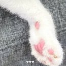 수빈농장 | 태어나줘서 고마워 ,