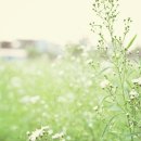 쓰리에스 이미지