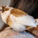 경주버드파크 이미지