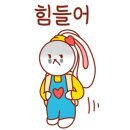 황금손타이 이미지