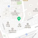 젬인브라운서초