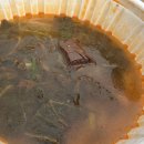 성연감자탕 이미지