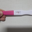 시약 | 다이소 원포 얼리 임테기 시약선 오류 의심 두줄 후기