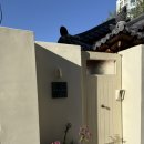 스테이 리네 이미지