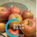 민수 농장 | 수플농원 청년농부가 키운 청송부사 가정용사과 구매후기