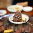 하누랑돈이랑 이미지