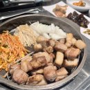 우림멋쟁이