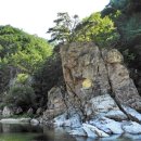 송이용소 이미지