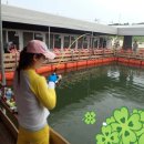 스타바다좌대낚시터 이미지