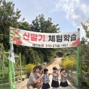 새터 농장 이미지