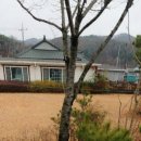 박의사농장 이미지
