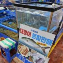 강서구 횟집 유진유통, 강서수산시장 모둠회 후기