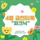 티톡 Daum카페