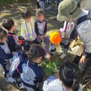 초롱어린이집 이미지