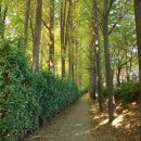 송정제방길 이미지