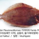 미주구리전문점 이미지