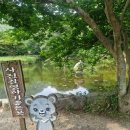 장성 백양사 천년고찰의 감성여행/팔도 장터 열차 추천코스