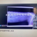 반려동물관리사 이미지