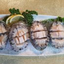 목포하나비횟집 이미지