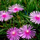 좋은생각 이미지