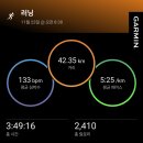 [통복천막걸리러너] 인천마라톤 겸 LSD 훈련 이미지