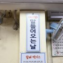 라떼 이즈 홀스 | 제주 한라산조랑말(feat.라떼 이즈 홀스🐴)
