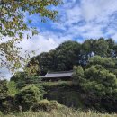 덕들농로 | [경북 예천] 금당실길_10월에 걷기 좋은 길