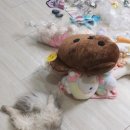 토이스팝