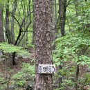 백운사 | 창원 마산 무학산, 백운사 등산 코스 우중 산행후기
